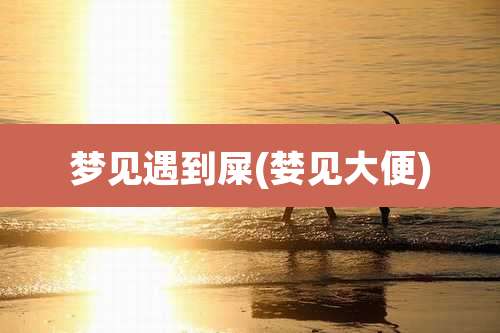 梦见遇到屎(婪见大便)