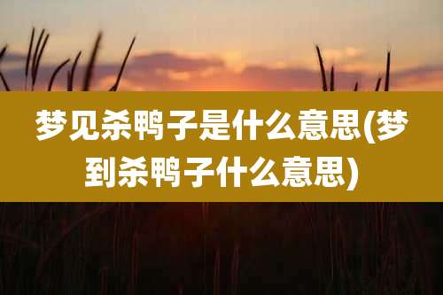 梦见杀鸭子是什么意思(梦到杀鸭子什么意思)