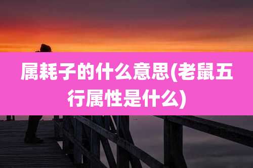 属耗子的什么意思(老鼠五行属性是什么)