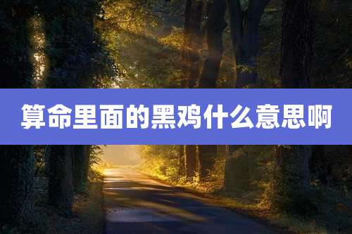 算命里面的黑鸡什么意思啊