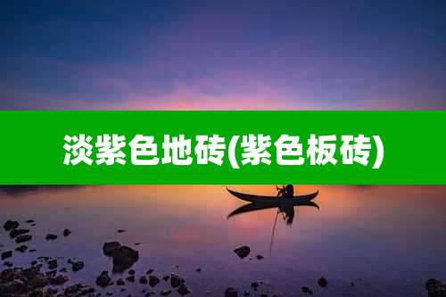 淡紫色地砖(紫色板砖)