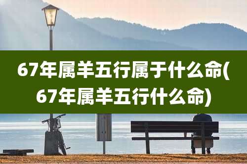 67年属羊五行属于什么命(67年属羊五行什么命)