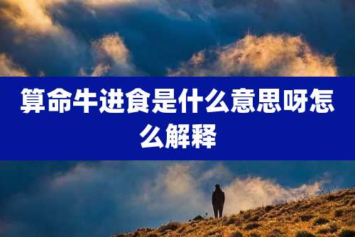 算命牛进食是什么意思呀怎么解释