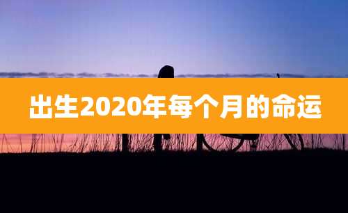 出生2020年每个月的命运