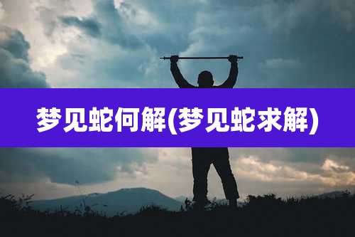 梦见蛇何解(梦见蛇求解)