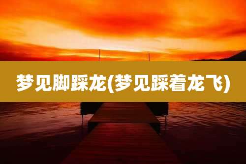 梦见脚踩龙(梦见踩着龙飞)