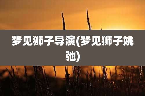 梦见狮子导演(梦见狮子姚弛)