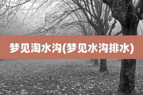 梦见淘水沟(梦见水沟排水)