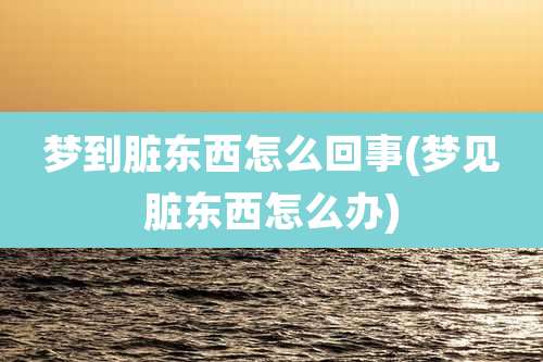 梦到脏东西怎么回事(梦见脏东西怎么办)