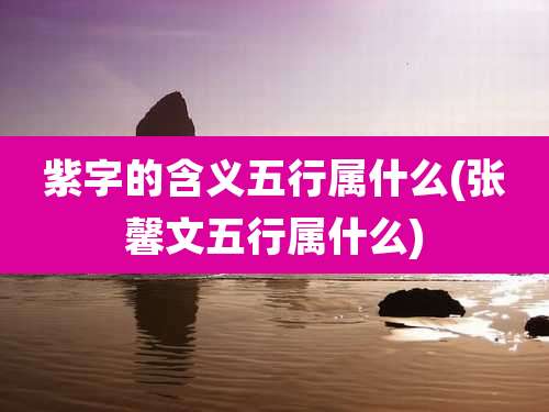 紫字的含义五行属什么(张馨文五行属什么)