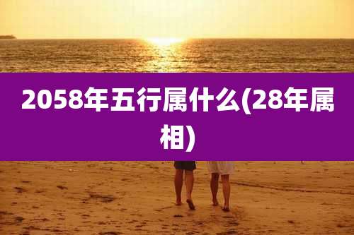 2058年五行属什么(28年属相)