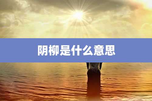 阴柳是什么意思