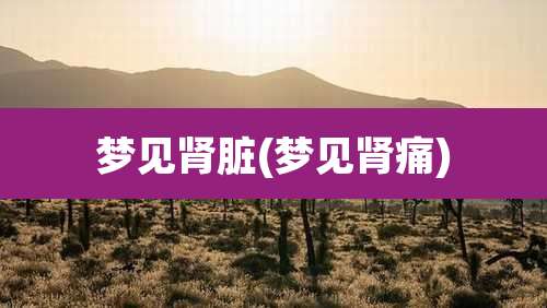 梦见肾脏(梦见肾痛)