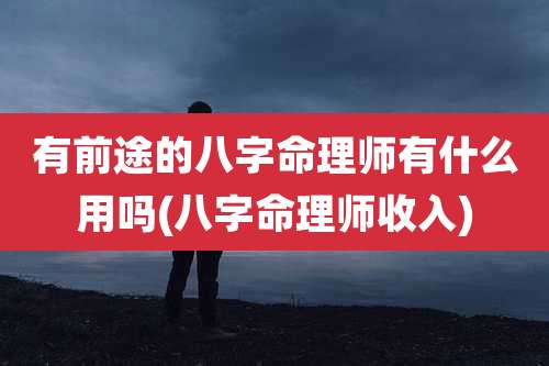 有前途的八字命理师有什么用吗(八字命理师收入)