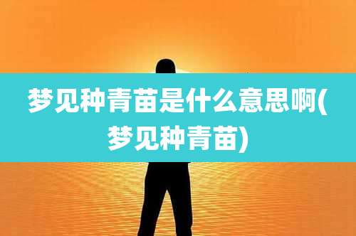 梦见种青苗是什么意思啊(梦见种青苗)