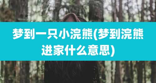梦到一只小浣熊(梦到浣熊进家什么意思)