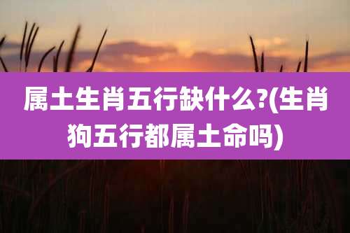 属土生肖五行缺什么?(生肖狗五行都属土命吗)