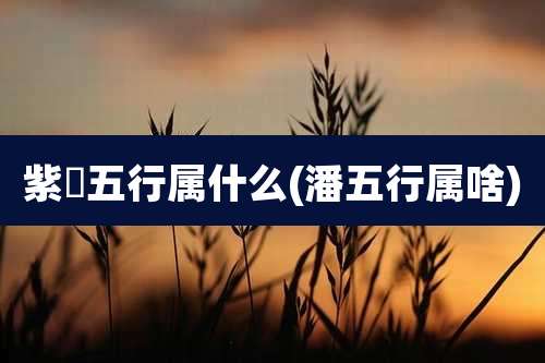 紫瑄五行属什么(潘五行属啥)