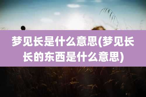 梦见长是什么意思(梦见长长的东西是什么意思)