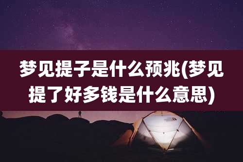 梦见提子是什么预兆(梦见提了好多钱是什么意思)
