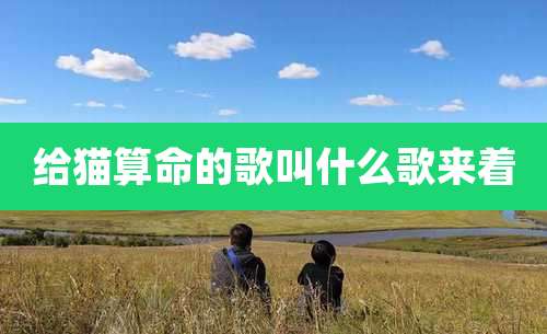 给猫算命的歌叫什么歌来着