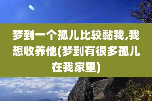 梦到一个孤儿比较黏我,我想收养他(梦到有很多孤儿在我家里)
