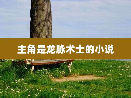 主角是龙脉术士的小说