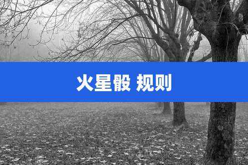 火星骰 规则