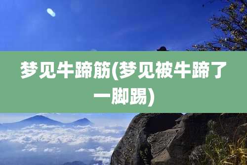 梦见牛蹄筋(梦见被牛蹄了一脚踢)