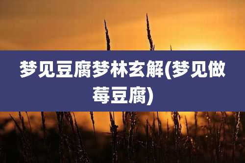 梦见豆腐梦林玄解(梦见做莓豆腐)