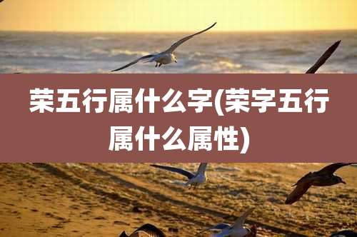 荣五行属什么字(荣字五行属什么属性)