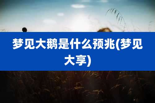 梦见大鹅是什么预兆(梦见大享)