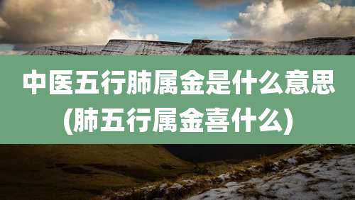 中医五行肺属金是什么意思(肺五行属金喜什么)