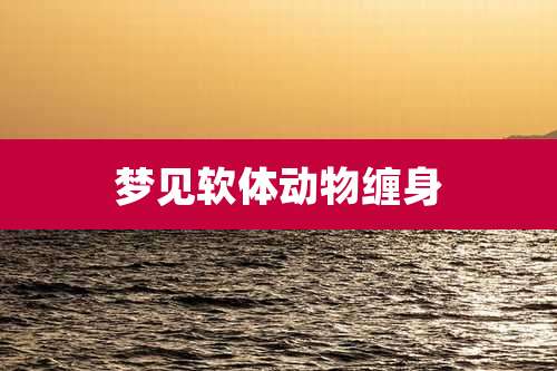 梦见软体动物缠身
