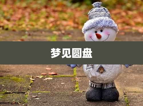 梦见圆盘