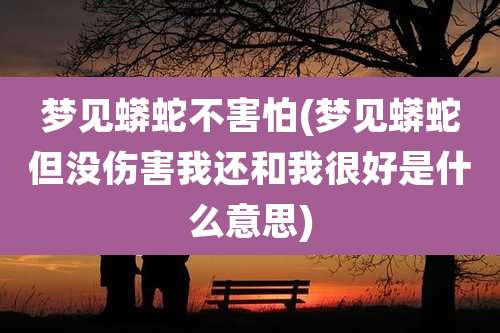 梦见蟒蛇不害怕(梦见蟒蛇但没伤害我还和我很好是什么意思)