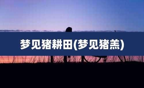 梦见猪耕田(梦见猪羔)