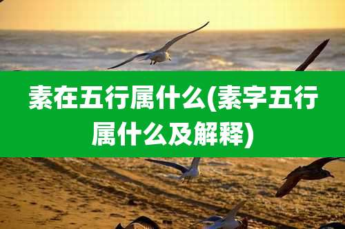 素在五行属什么(素字五行属什么及解释)