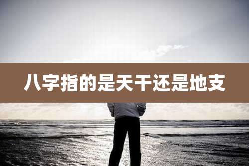八字指的是天干还是地支