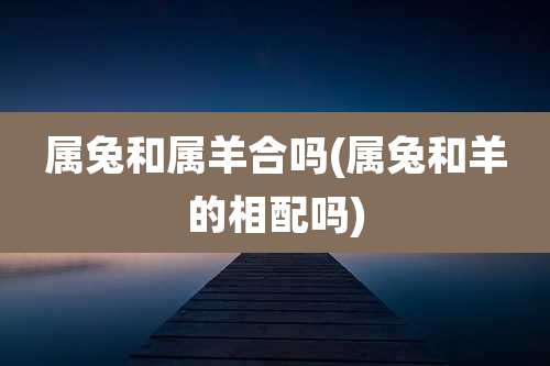 属兔和属羊合吗(属兔和羊的相配吗)