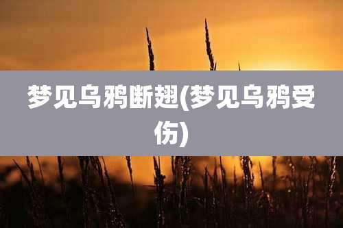 梦见乌鸦断翅(梦见乌鸦受伤)