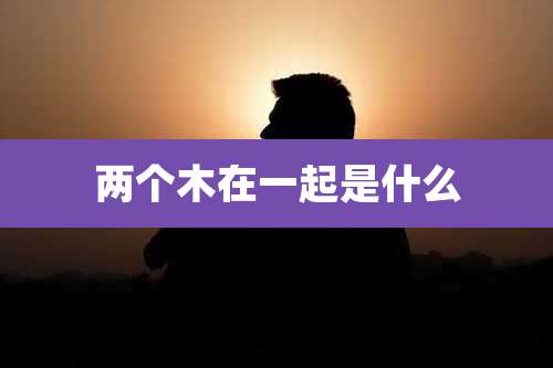 两个木在一起是什么