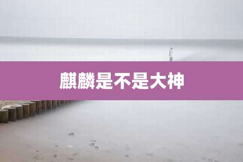 麒麟是不是大神