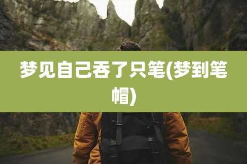 梦见自己吞了只笔(梦到笔帽)