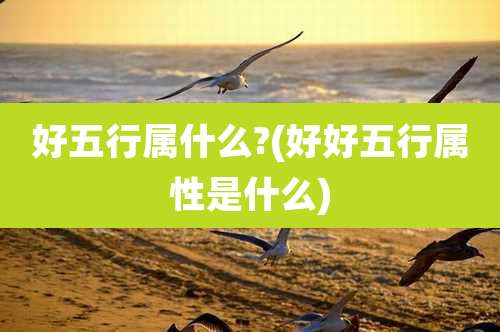 好五行属什么?(好好五行属性是什么)