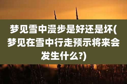 梦见雪中漫步是好还是坏(梦见在雪中行走预示将来会发生什么?)