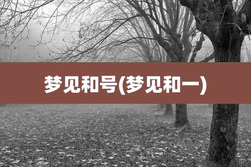 梦见和号(梦见和一)