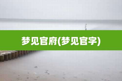 梦见官府(梦见官字)