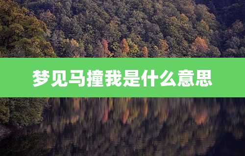 梦见马撞我是什么意思