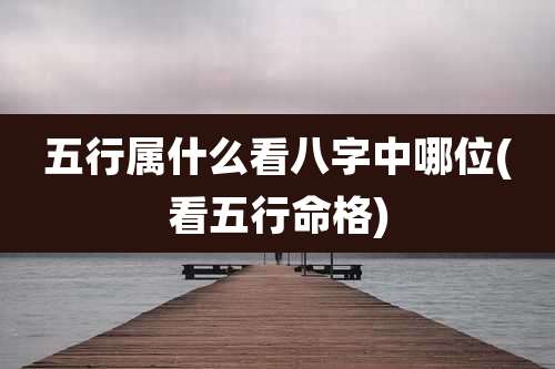 五行属什么看八字中哪位(看五行命格)
